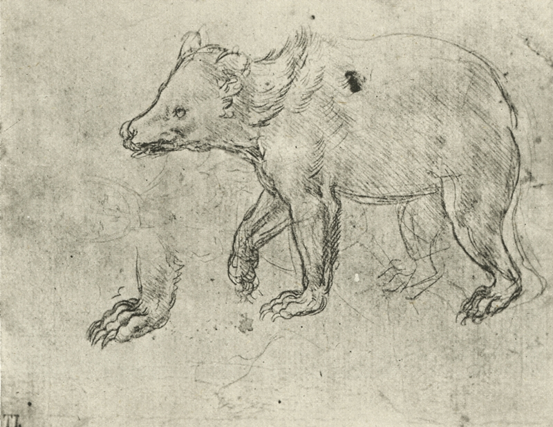 Leonardo+da+Vinci-1452-1519 (313).jpg